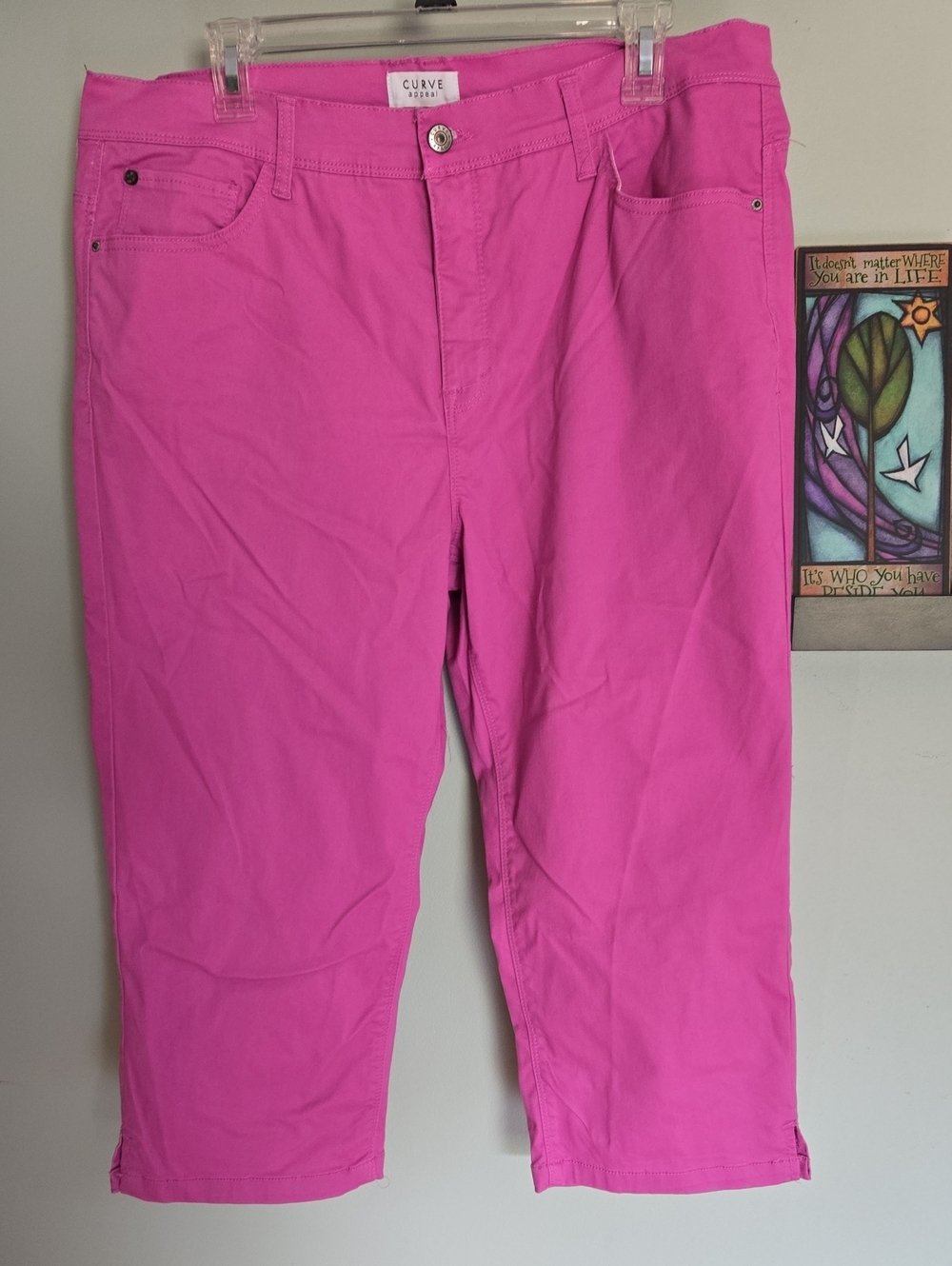 Curve Appeal Bright Pink Capris Stretchy Sz 16, NWOT